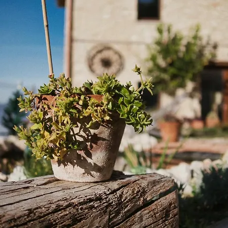 Manca1fiorino Bed & Breakfast 3*