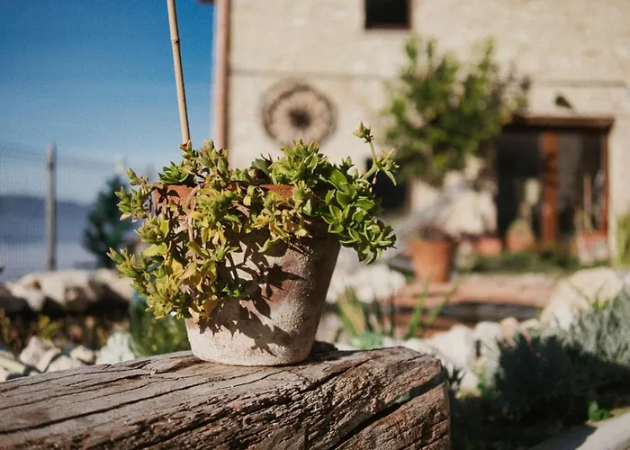 Manca1fiorino Bed & Breakfast *